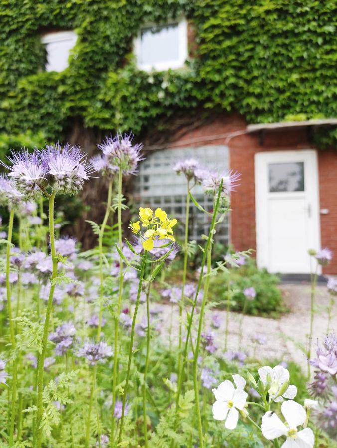 Gemutliche Ferienwohnung Mit Zugang Zum Privaten See Detern Eksteriør billede